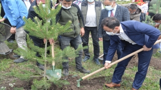 Sarıkamış Harekatı şehitleri anısına Kars’ta fidanlar toprakla buluştu