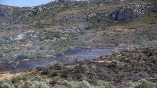 Muğla’da zirai alanda çıkan yangın hava ve karadan müdahaleyle söndürüldü