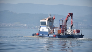 İzmit Körfezi’nde müsilaj temizleme çalışmaları devam ediyor