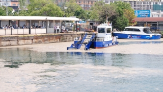 İstanbul’da müsilaj temizleme çalışmaları sürüyor