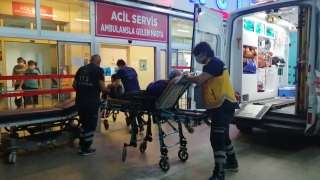 Adana’da üzerine ağaç devrilen otomobildeki iki kişi yaralandı