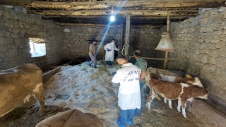 Erzincan’da saman yığınının altında kalan kadın hayatını kaybetti