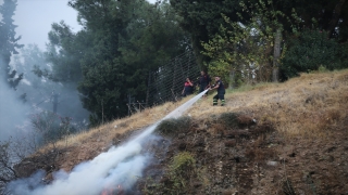 Aydın’da mesire alanında çıkan yangın söndürüldü