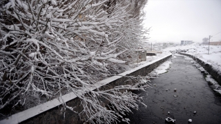 Erzurum, Kars ve Ardahan’da kar yağışı etkili oldu