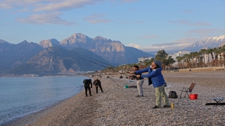 Antalya’da balon balığı avlama yarışması düzenlendi