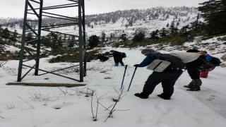 Amanos Dağları’na yaban hayvanları için yem bırakıldı