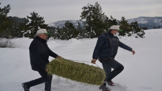 Kahramanmaraş’ta yaban hayvanları için doğaya yem bırakıldı