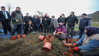 Tarım ve Orman Bakanı Pakdemirli, Kızılcaali köyünü ziyaret etti