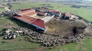  Gübre ve yem fiyatlarındaki indirim üreticileri sevindirdi