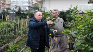 Rizeli çay üreticileri Muğla’daki ağaçlandırma çalışmalarına destek verecek