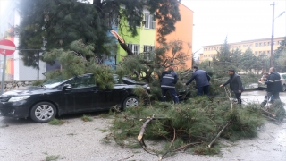 Hatay’da fırtına direk ve ağaçları devirdi, araçlarda hasara yol açtı