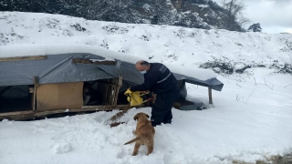 Bartın ve Düzce’de hayvanlar için doğaya yiyecek bırakıldı