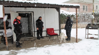 Amasya’da karda ıslanan köpek polis noktasına sığındı