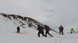 Siirt’te yaban hayvanları için doğaya yem bırakıldı