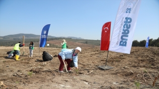 Bursa’da ”Türk Dünyası Kültür Başkenti Hatıra Ormanı” oluşturuldu