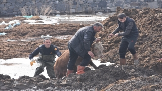 Kars’ta su taşkını yaşanan mahallede ekiplerin çalışmaları yeniden başladı