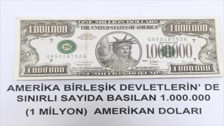 Van’da 1 milyon dolarlık banknot ele geçirildi