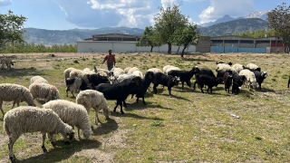 Isparta’da yangında hayvanları telef olan aileye, yetiştiriciler destek verdi