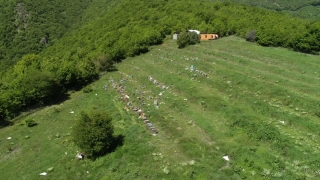 Tekirdağ’da araştırma için beslenen arı kovanlarını tahrip edenlerin yakalanması için çalışma başlatıldı