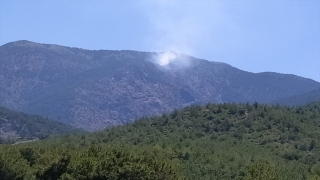 Hatay’da ormanlık alanda çıkan yangına müdahale ediliyor