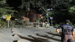 Sancaktepe’de ağaç devrildi