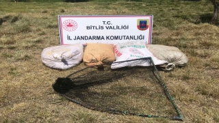 Bitlis’te kaçak avlanılan 2 ton 350 kilogram inci kefaline el konuldu