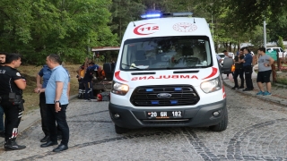 Denizli’de üzerine ağaç devrilen orman işçisi öldü