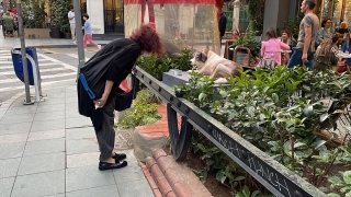 Şişli Belediye Başkanı Muammer Keskin maskot köpeğin heykelini açtı