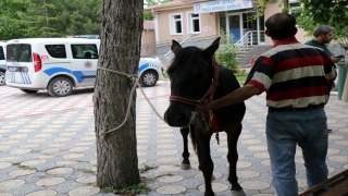 Kayseri’de atını aracına bağlayıp götüren kişi hakkında soruşturma başlatıldı