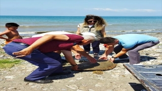 Hatay’da yaralı caretta caretta tedaviye alındı