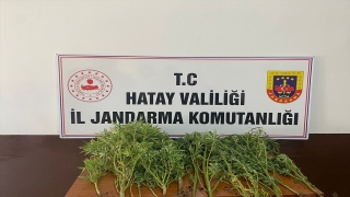 Hatay’da arananlara yönelik operasyonda 11 şüpheli yakalandı