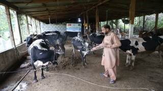 Pakistan’daki Türk STK’ler bayramda ihtiyaç sahiplerinin yüzünü güldürdü