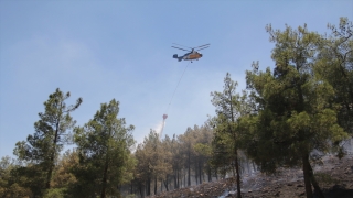 GÜNCELLEME Hatay’da çıkan örtü yangını kontrol altına alındı 