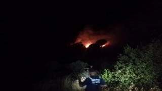 Hatay’da ormanlık alanda çıkan yangın söndürüldü