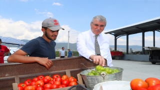 Geyve Safibey Ürün Toplama Merkezi üreticiyle tüketiciyi buluşturuyor