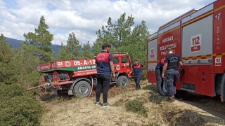 Tokat’ta orman yangını kontrol altına alındı