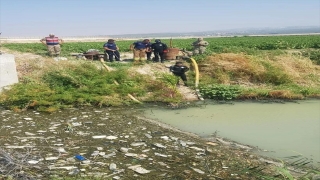 Hatay’da derede erkek cesedi bulundu