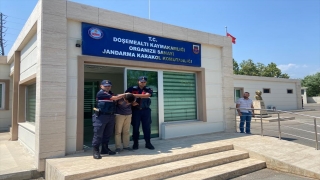 Antalya’da boşanma aşamasındaki eşini tabancayla öldüren koca yakalandı