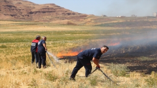 Siirt’te çıkan anız yangını saman balyalarına sıçramadan söndürüldü