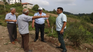 Yalova’da yerleşim sahalarına inen sahipsiz büyükbaş hayvanlar sorununa el atıldı