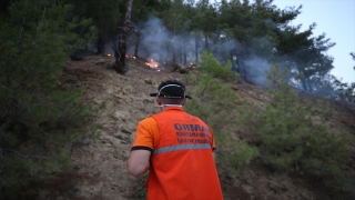 Kahramanmaraş’ta çıkan orman yangınına müdahale ediliyor