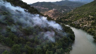 Amasya’da ormanlık alanda çıkan yangın söndürüldü