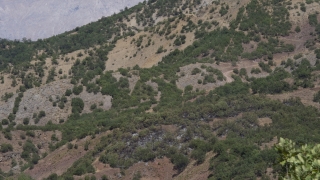 Tunceli’de ormanlık alanda çıkan yangın söndürüldü