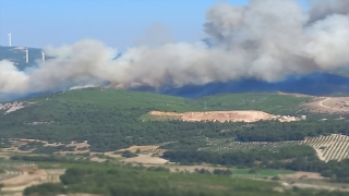 Manisa Soma’da bir orman yangını daha çıktı