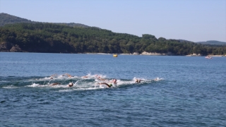 Uluslararası Açık Su Yüzme Şampiyonası ”Golden Cup” Kocaeli’de yapıldı