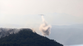 Muğla’daki orman yangını kontrol altına alındı