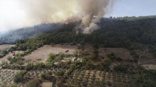 GÜNCELLEME Balıkesir’de çıkan orman yangınına müdahale ediliyor