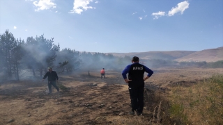 Ardahan’da ormanlık alanda çıkan yangın söndürüldü