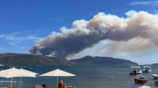 Marmaris’te orman yangını başladı