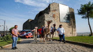 Diyarbakır’da ”12. Karpuz Festivali” düzenlendi